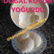 Koyun Yoğurdu