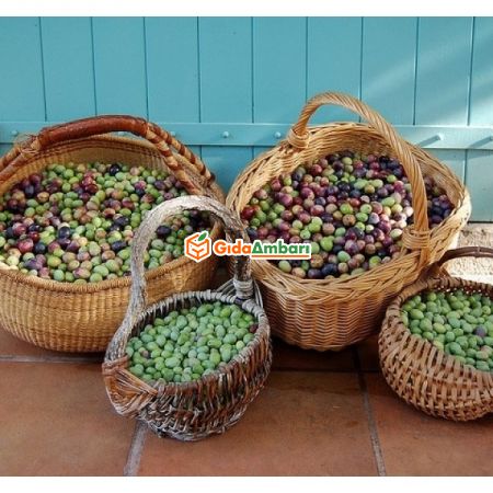 Zeytinyağı  2Lt Çanakkale | Gıda Ambarı
