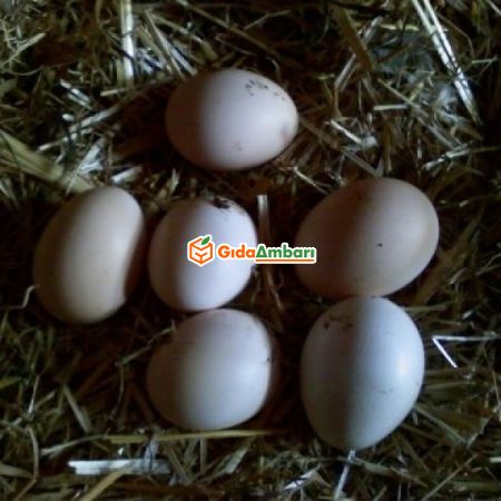 Doğal Tavuk Yumurtası | Gıda Ambarı