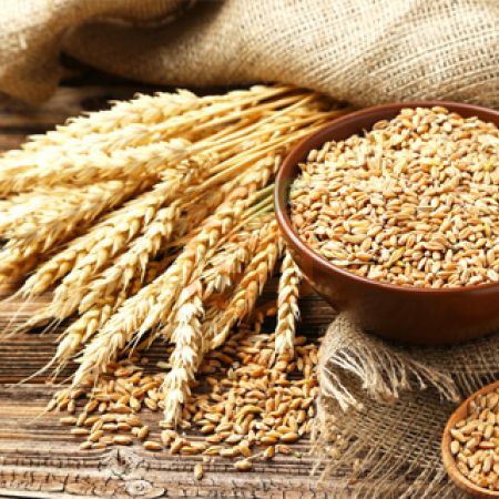 Aşurelik Buğday | Gıda Ambarı